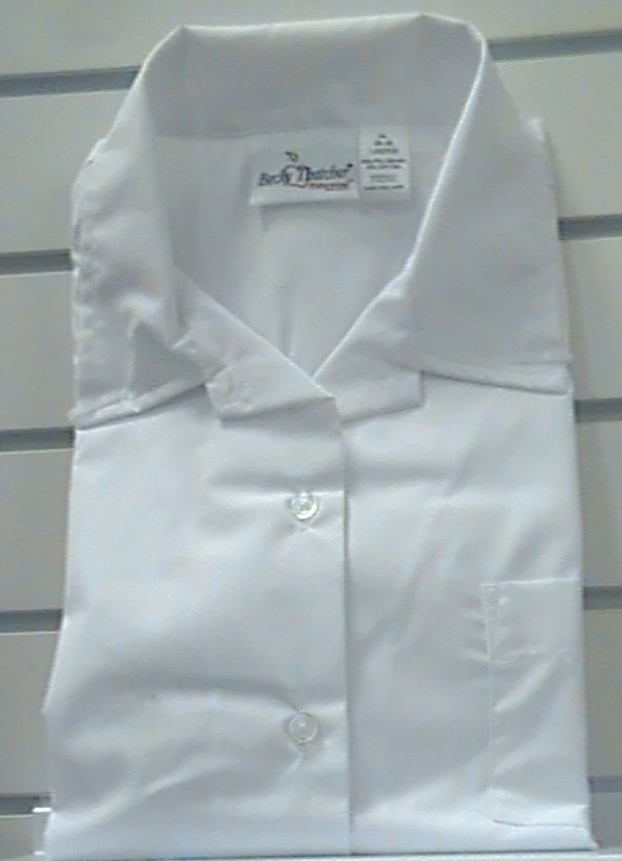 WhiteShort SleevePointed Collar Blouse