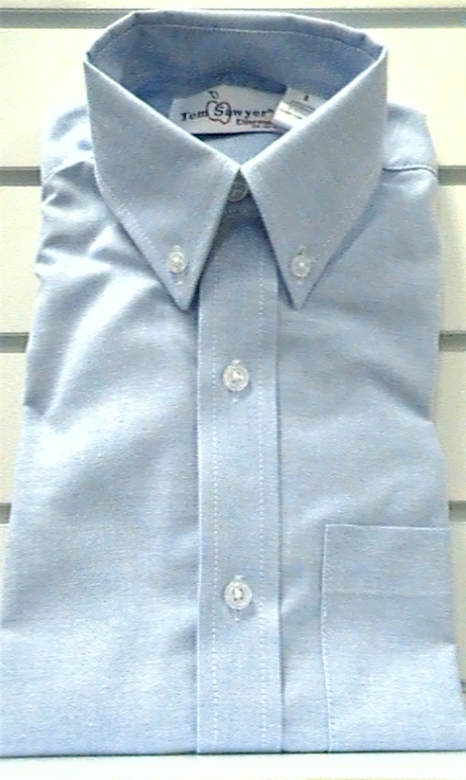 BlueShort SleeveOxfordcloth Buttondown Collar Shirt